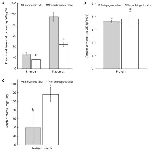 Concentration of total phenols and flavonoids (A.), protein (B.), resistant starch (C.) in embryogenic and non-embryogenic calli of mahogany. Data are presented as mean &plusmn; standard deviation. Means followed by different letters are significantly different at P &le; 0.05 according to the Tukey test.
