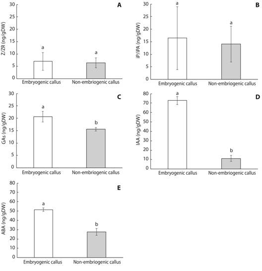 Concentration of Z/ZR (A.), iP/iPA (B.), Gas (C.), IAA (D.), and ABA (E.) in embryogenic and non-embryogenic calli of mahogany. Data are presented as mean &plusmn; standard deviation (n = 3). Means followed by different letters are significantly different at P &le; 0.05 according to the Tukey test.