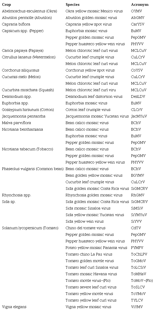 Begomovirus species reported in Mesoamerica (from Mexico to Costa Rica) according their host crops, accepted by the International Committee on Taxonomy of Viruses (ICTV)