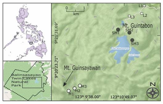 Location of the study sites within Balinsasayao Twin Lakes Natural Park (montane sites indicated by M1-M3, submontane sites by SM1-SM3, and lowland sites by L1-L3). Inset: Philippine map and the boundaries of Balinsasayao Twin Lakes Natural Park. Map generated using QGIS&reg; and OpenStreetMap&reg;.