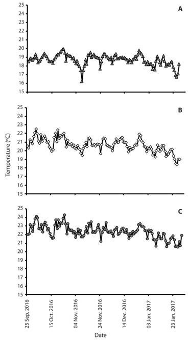 Daily temperature readings using HOBO data loggers in three zones A) montane, B) submontane, C) lowland from September 23, 2016 to January 29, 2017 in Balinsasayao Twin Lakes Natural Park, Negros Island, Philippines.