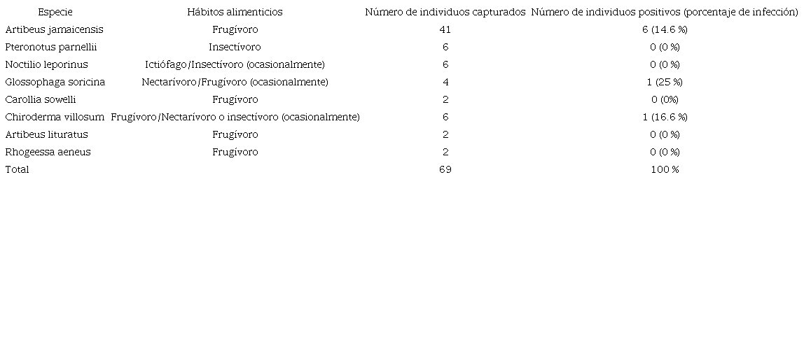 Número de individuos capturados y porcentaje de infección según las especies de murciélagos capturados en sitios de la Península de Yucatán, México