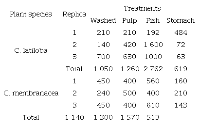 Number of seeds of the Cecropia species used in the germination treatments