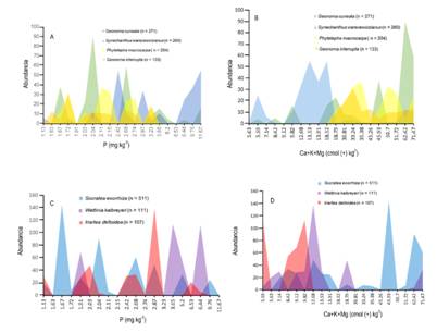 Abundancia de las palmas del sotobosque y del dosel a lo largo del gradiente de concentraci&oacute;n de f&oacute;sforo (P) y bases intercambiables (Ca + K + Mg) en 20 transectos en el Choc&oacute; biogeografico: (A - B) sotobosque. (C - D) dosel. Fig. 4. Abundance of understory and canopy palms along the concentration gradient of phosphorus (P) and exchangeable bases (Ca + K + Mg) in 20 transects in the Choc&oacute; region: (A - B) understory. (C - D) canopy.