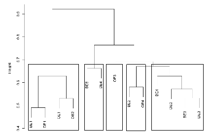 Agrupamiento a partir del an&aacute;lisis de diversidad beta entre las estaciones (E) de Duitama (D), Bel&eacute;n (B) y Onzaga-Susac&oacute;n (O), en el costado occidental del complejo de p&aacute;ramos Guantiva-La Rusia (Boyac&aacute;-Santander).