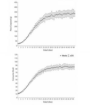Din&aacute;mica simulada del crecimiento del peso corporal (A) y el consumo diario de energ&iacute;a (B) por pichones de Bubulcus ibis (Aves: Ardeidae).