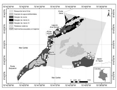 &Aacute;rea de estudio y distribuci&oacute;n de las parcelas de monitoreo - Reserva Natural Sanguar&eacute;. 