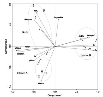 An&aacute;lisis de Componentes Principales de 13 parcelas permanentes con 3 especies de mangle y 14 variables f&iacute;sicas en la Reserva Natural Sanguar&eacute;