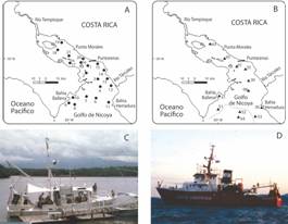 Localizaci&oacute;n de las estaciones de recolecta de peces mediante redes epib&eacute;nticas (Redes de arrastre tipo otter trawl y beam trawl) en el Golfo de Nicoya, Pac&iacute;fico, Costa Rica: A, C. Buque Skimmer (Otter trawl; 20 estaciones) Febrero y julio de 1979, abril de 1980. Profundidad: 10 m a 50 m. Modificada de Fig. 1 (Bartels, Price, L&oacute;pez, & Bussing, 1983). B, D. Buque V&iacute;ctor Hensen (Otter trawl y beam trawl, 12 estaciones) Diciembre 1993 y febrero 1994. Profundidad: 10 m a 228 m. Modificada de Fig. 1 (Wolff, 1996). La l&iacute;nea discont&iacute;nua indica la is&oacute;bata de 100 m. Las profundidades de las estaciones a lo largo del eje central del Golfo, son: 43 (10 m), 45 (15 m), 01 (33 m), 30 (30 m), 06 (43 m), 52 (118 m), 54 (228 m). La amplitud promedio de la marea es de 3 m. Fotos: K. Price y J. A. Vargas.