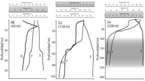 Perfiles verticales (superficie - fondo ) obtenidos mediante sensor electr&oacute;nico tipo CTD, de temperatura (T, &ordm;C), % ox&iacute;geno disuelto (O2) y salinidad (S, &permil;), el 3 y 4 de diciembre de 1993, en las estaciones 06, 52, y 54 de la zona externa (boca) del Golfo de Nicoya, Pac&iacute;fico, Costa Rica. La escala sombreada en gris (arriba) corresponde al perfil resaltado en negro abajo. El &aacute;rea gris (estaci&oacute;n 54) representa el &aacute;rea, a profundidades mayores de 100 m, de concentraciones de ox&iacute;geno menores del 5 % de saturaci&oacute;n. Modificada de Wolff y Vargas (1994, Fig. 1.1).