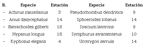 B. Ejemplos de 10 especies encontradas en una estaci&oacute;n. 