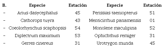 Buque cient&iacute;fico V. Hensen: B. Ejemplos de 10 especies encontradas en una estaci&oacute;n. 