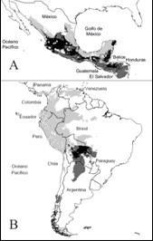 Modelo de nicho ecol&oacute;gico de S. l. var. cerasiforme en M&eacute;xico (A) y el sur de Am&eacute;rica (B). En ambos casos, los puntos en blanco representan los registros hist&oacute;ricos. En A, los diamantes representan los registros en campo. El color gris claro representa el MNE en cada regi&oacute;n; en gris oscuro la proyecci&oacute;n de M&eacute;xico (A) hacia el sur de Am&eacute;rica (B) y viceversa; en negro la superposici&oacute;n de cada regi&oacute;n.