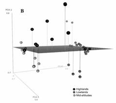 Principal Component Analysis sample scores for studied lakes. Sites are color coded by regional provenance (black: Montebello [coldest], dark gray: El Pet&eacute;n [warmest], and light gray: Lacand&oacute;n forest [intermediate temperature]). 