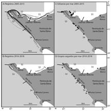 Esfuerzo dedicado por mar y ubicación de los registros de delfines alrededor de la puntilla de Santa Elena: A) recorridos en el mar en el período 2016-2018; B) seguimiento de los delfines en el mar; C) sitios de registro de grupos de delfines en el período 2005-2015; D) sitios de registro de delfines en el período 2016-2018. En el mapa se indica además la ubicación de los cuatro sectores en que se dividió el área de estudio (S1-S4) separados por líneas negras perpendiculares a la costa. La parte gris claro corresponde al área protegida Puntilla de Santa Elena. El área protegida también incluye parte de la zona costera.