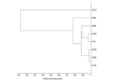 Análisis clúster jerárquico de los delfines nariz de botella de la puntilla de Santa Elena. Período 2016-2018. Períodos de muestreo = 20. Códigos de identidad (eje vertical) indican además el tipo de animal: M = macho, F = hembra, S = subadulto, C = cría.