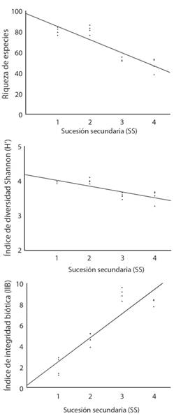 Relación lineal entre la riqueza de especies, la diversidad de Shannon y el Índice de integridad biótica basado en aves (IIB) con el gradiente de sucesión secundaria del bosque húmedo tropical, en cuatro etapas de sucesión, desde edades tempranas (SS1) hasta maduras (SS4) en la Reserva Natural Hacienda San Pedro, Antioquia, Colombia.