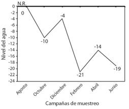 Variación del nivel del agua (cm) del humedal costero Santa Rosa (Lima, Perú) desde agosto 2015 a junio 2016. N.R.: Nivel de referencia.