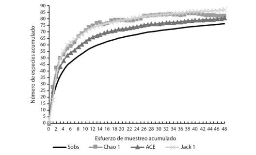 Número de géneros observados (Sobs) y estimados (Chao1, ACE y Jack1) para los macroinvertebrados presentes en el humedal costero Santa Rosa (Lima, Perú) entre agosto 2015 y junio 2016.