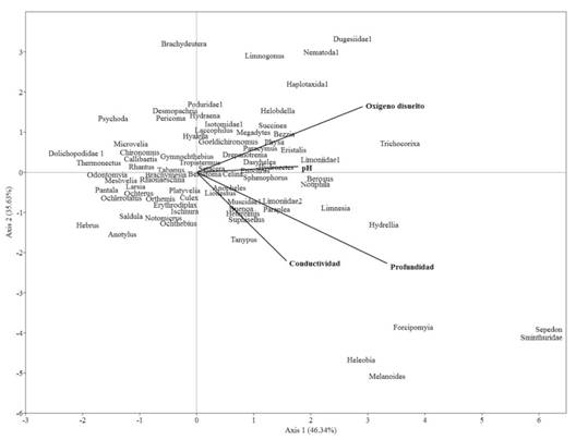Análisis de correspondencia canónica (ACC) en ocho estaciones de muestreo del humedal costero Santa Rosa (Lima, Perú) desde agosto 2015 hasta junio 2016