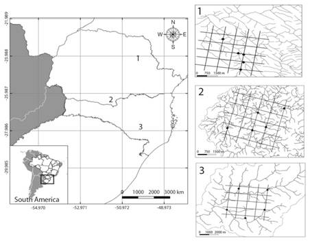 Location of the south Brazilian region under study in South America. 1 - River basin of Tibagi/PR showing the grid of the 25 km2 landscape and the location of the five selected streams. 2 - River basin of Palmas/PR showing the grid of the 25 km2 landscape and the location of the five selected streams. 3 - River basin of Painel/SC showing the grid of the 25 km2 landscape and the location of the five selected streams.