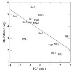 Relationship between abundance (log transformed) of benthic macroinvertebrates and PCA axis 1 of environmental variables. Data collected in 15 streams of three landscapes in South Brazilian grasslands in Winter and Spring 2015. PAL = Palmas, PAI = Painel, TIB = Tibagi. Response model is Abundance = 3.72 - 0.60*PCA1.
