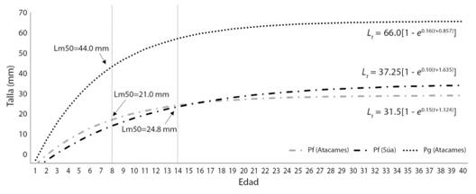 Curvas de crecimiento de Pseudopoecilia fria (Pf)y Poecilia gillii (Pg) en los r&iacute;os Atacames y S&uacute;a.