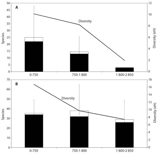 Observed (black) and estimated (white) species richness and diversity (exponential of Shannon-Wiener index) in three altitudinal levels of the Loxicha Region. A. Papilionidae; B.Pieridae.