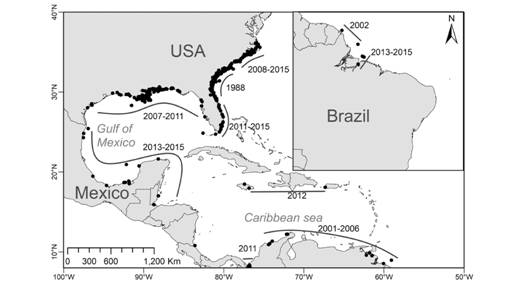 Study area. Black dots represent recordings of Penaeus monodon in the American Atlantic Ocean. Grey lines show the period in which sightings of the species were registered.