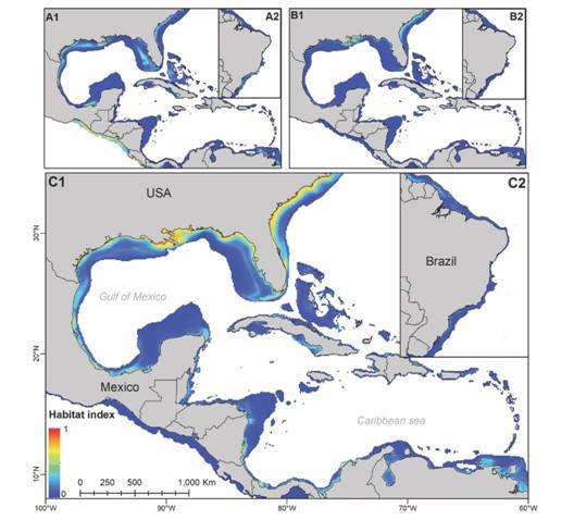 Results of the modelling for Penaeus monodon: (A) Mnat, with only Indo-Pacific recordings and projections into the Atlantic; (B) Minv, using only recordings of invasions in the Atlantic; and (C) Mcom, using all known recordings (Indo-Pacific and Atlantic data).