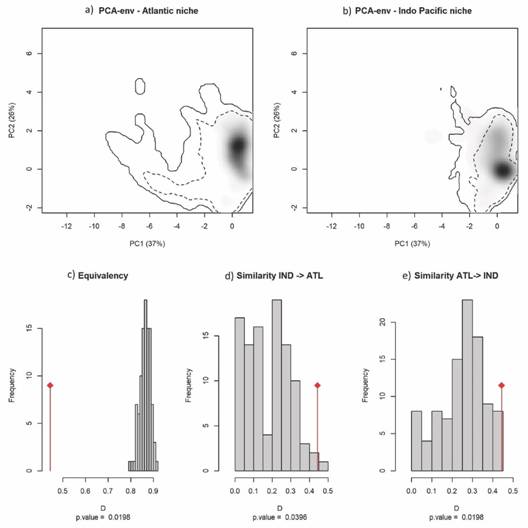 Niche representation of Penaeus monodon in climatic space - example of a principal component analysis (PCA-env). Panels (A) and (B) represent the niche of the species along the two first axes of the PCA in the Indo-Pacific native (IND) and Atlantic Ocean invaded range (ALT), respectively. Grey shading shows the density of the occurrences of the species by cell. The solid and dashed contour lines illustrate, respectively, 100 % and 50 % of the available (background) environment. Histograms (C)-(E) show the observed niche overlap D (D = 0.429) between the two ranges (bars with a diamond) and simulated niche overlaps (grey bars) on which tests of niche equivalency (C), niche similarity of IND to ATL (D), and niche similarity of ATL to IND (E) were calculated from 100 iterations.