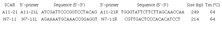 Sequences of SCAR primers, PCR product size and PCR condition