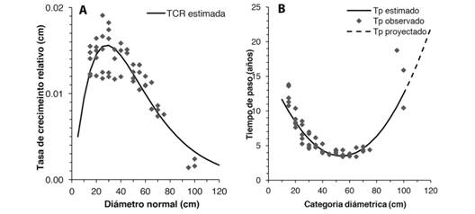 Tasa de crecimiento relativo (TCR) por categoría diamétrica para árboles de S. macrophylla en Quintana Roo, México: (A) En diámetro normal y (B) Por tiempo de paso (Tp).