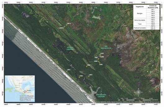 &Aacute;rea de estudio, Sistema de Humedales El Casta&ntilde;o, Chiapas, M&eacute;xico.