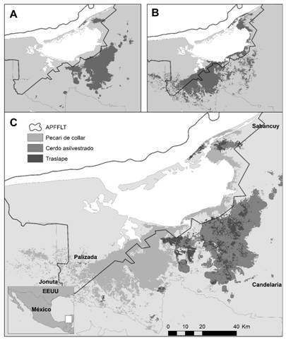 Distribuci&oacute;n potencial de (A) cerdos asilvestrados (Sus scrofa) y (B) pecar&iacute;es de collar (Pecari tajacu); (C) &Aacute;reas de traslape en la distribuci&oacute;n potencial de ambas especies en el &aacute;rea de Laguna de T&eacute;rminos, Campeche, M&eacute;xico.