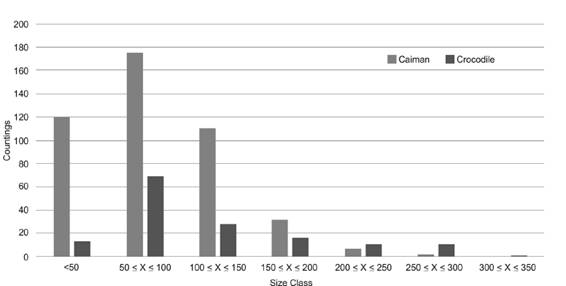 Crocodilian distribution by size according to species.