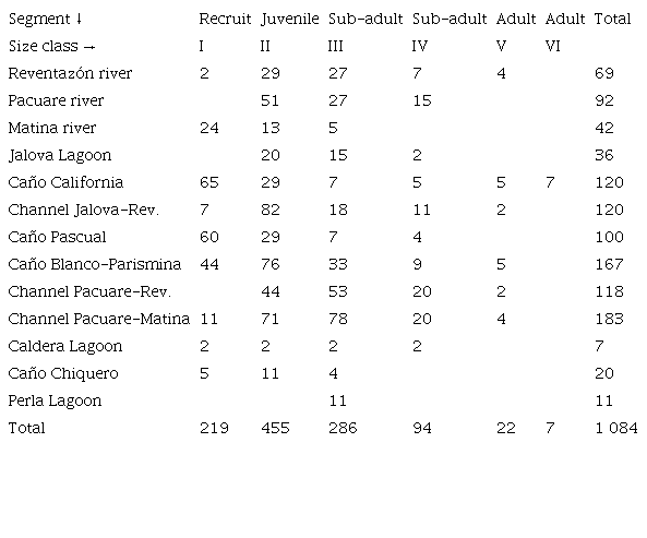Estimated counting of caimans in the Central Caribbean.