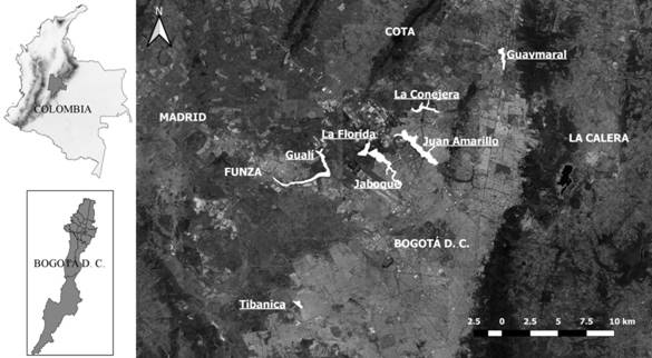 Humedales presentes en la Sabana de Bogot&aacute; seleccionados para determinar el estado poblacional de Cistothorus apolinari.