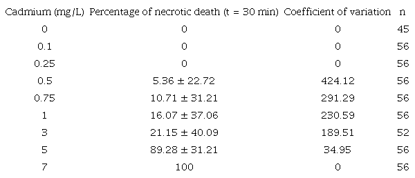 Death by necrosis from cadmium exposure for Aeolosoma hemprichi