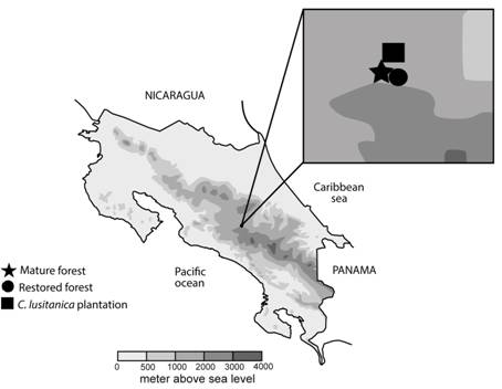 Sampling sites in the Reserva Forestal Río Macho, Costa Rica.