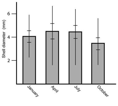 Shell diameter of the snail T. (T.) costaricanus under natural conditions according to month. Vertical lines represent maximum and minimum values. Horizontal lines represent standard deviation.
