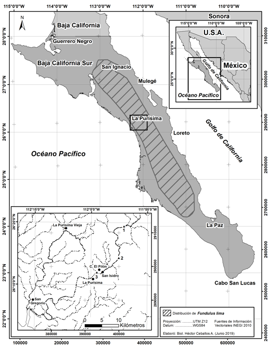 Localidades de muestreos ictiol&oacute;gicos en el r&iacute;o La Pur&iacute;sima, Baja California Sur, M&eacute;xico. Localidades: 1-Ojo de Agua, 2-Presa Carambuche, y 3-El Pil&oacute;n.