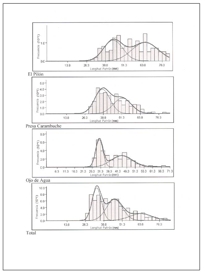 An&aacute;lisis polimodal de la distribuci&oacute;n de frecuencias de tallas de Fundulus lima capturados en el r&iacute;o La Pur&iacute;sima, Baja California Sur, M&eacute;xico, a nivel de localidad y todas las localidades combinadas.