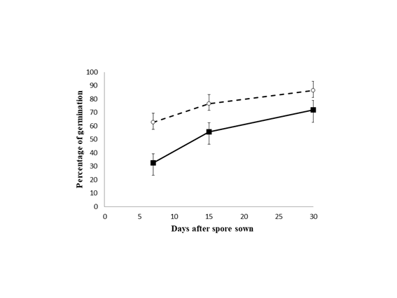 Mean percentages (± SE) of Lygodium venustum spores germinated with previous disinfection treatment (solid line) and without disinfection (dotted line) measured during 30 days after sowing.