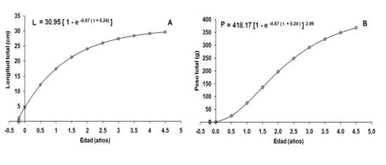 Curva de crecimiento en longitud de Haemulon plumieri seg&uacute;n el modelo de von Bertalanffy (1938). B. Curva de crecimiento en peso de Haemulon plumieri seg&uacute;n el modelo de von Bertalanffy (1938) del archipi&eacute;lago Los Frailes, Venezuela de enero a diciembre 2014. 