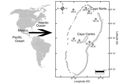 Study area showing the sampling stations at Chinchorro Bank, Caribbean Sea.