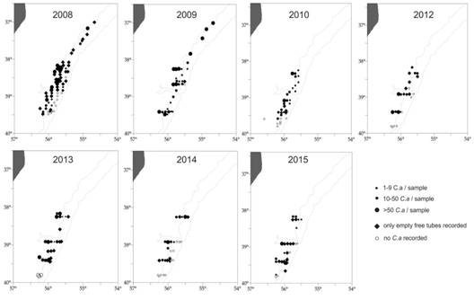 Location of sampling stations (○) and spatial distribution of empty (&diams;) and inhabited (●) tubes of Chaetopterus antarcticus between 2008-2015 in the study area (37&deg; S - 40&deg; S), SW Atlantic.