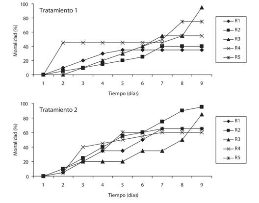 Mortalidad (%) de adultos de Capitella sp. registrada en los dos tratamientos durante el ensayo (Tratamiento 1: 20-22&deg; C y 30-32 ups; tratamiento 2: 24-26&deg; C y 32 a 34 ups); (R= r&eacute;plicas).