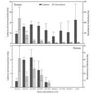 Distribución diamétrica de árboles con dap > 10 cm en bosques primarios intervenidos y pasturas en paisajes altoandinos en el municipio de Santa Isabel, Tolima, Colombia. Las barras de error corresponden al error estándar de la media.