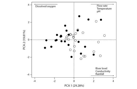 Principal component analysis (PCA) of the environmental data from middle Parnaíba River, Piauí State, Brazil. Black and white circles represent the upstream and downstream sites, respectively.